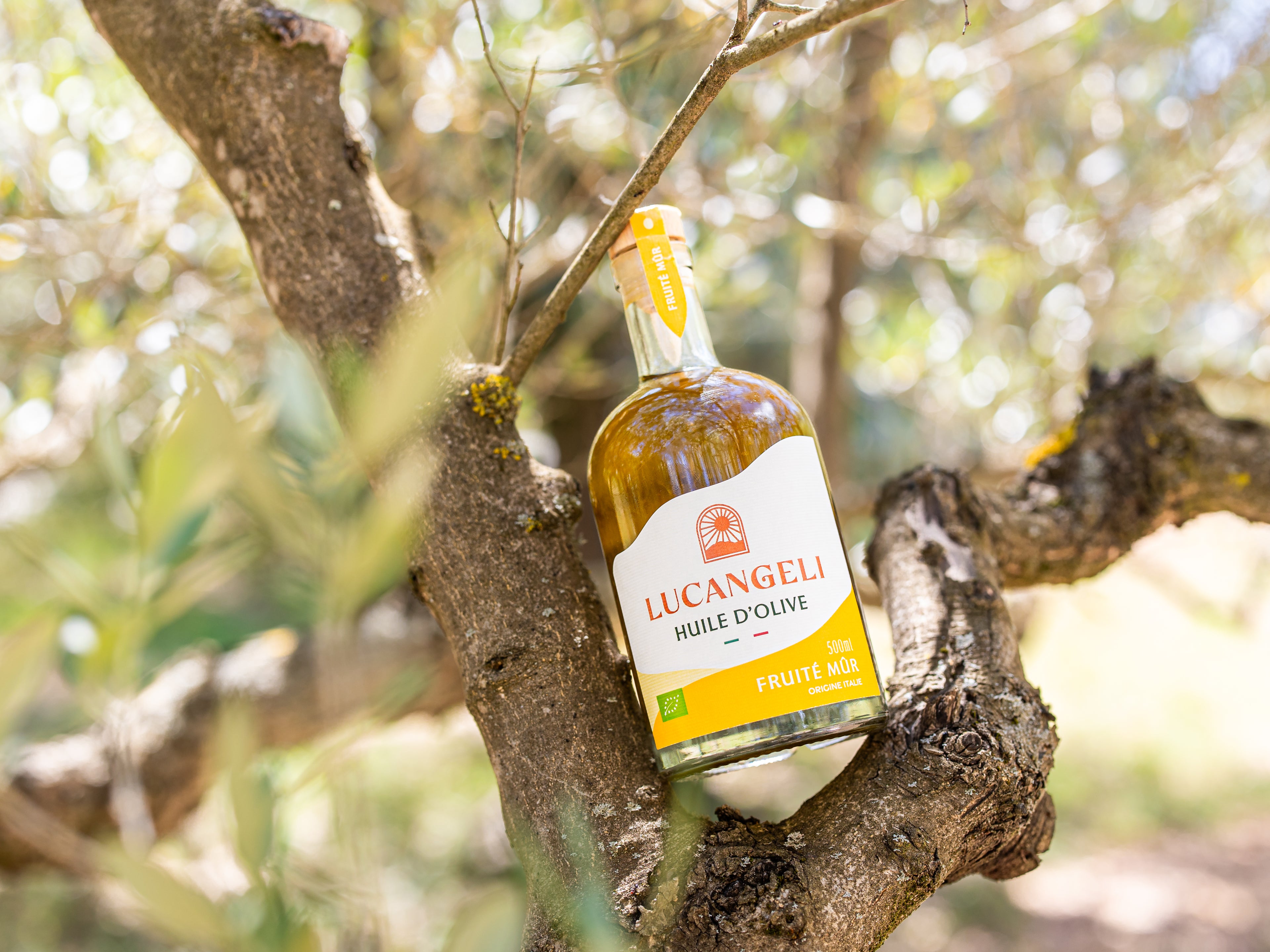 Coupon de réduction : 20% de remise sur le site internet Avec le code : GuidePrestige20 - Valable chez LUCANGELI - à SAINT-LAURENT-DU-VAR (06)