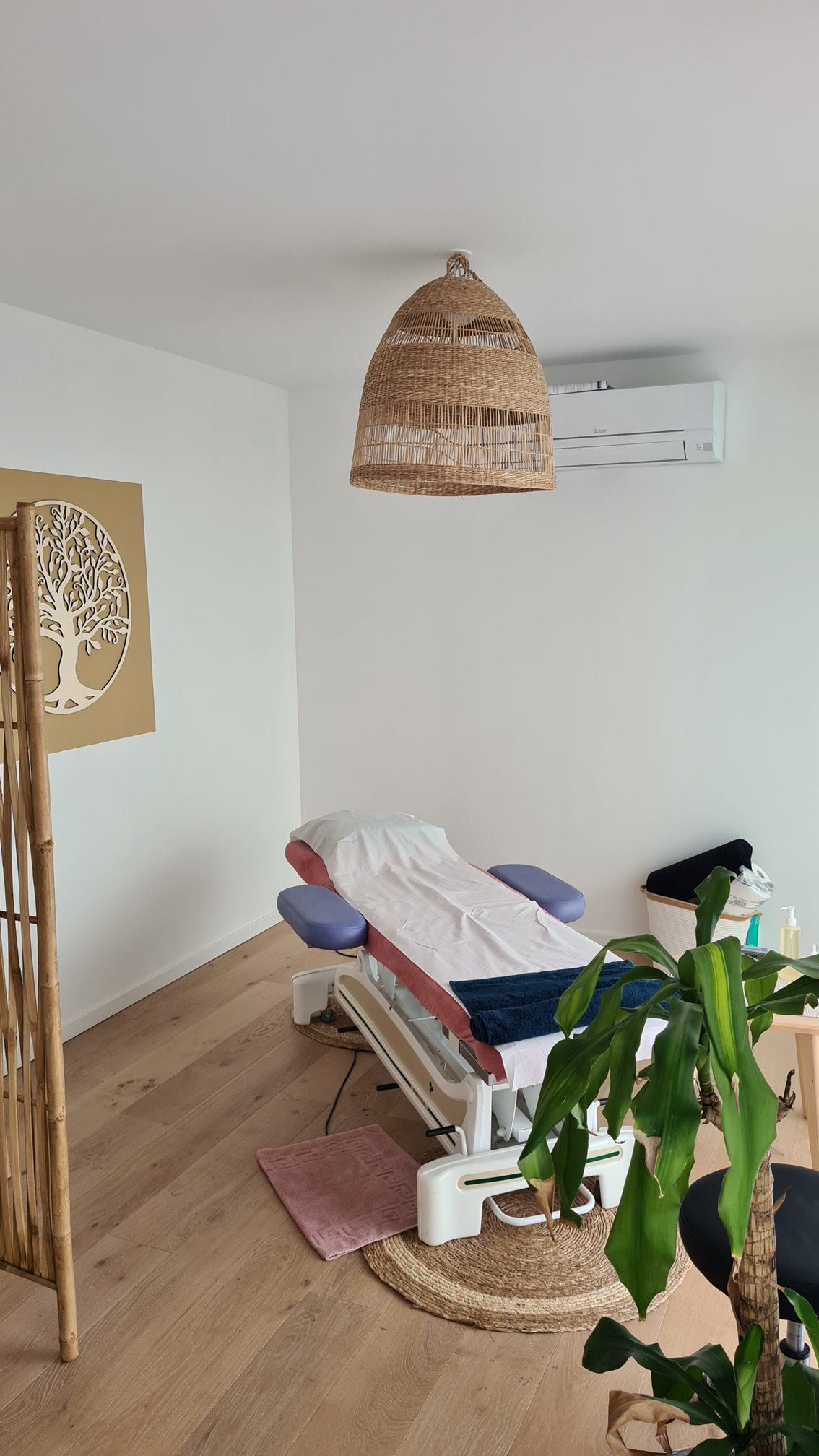 Coupon de réduction : 10% de remise sur une séance de Naturopathie - Valable chez MAUD - à (34)