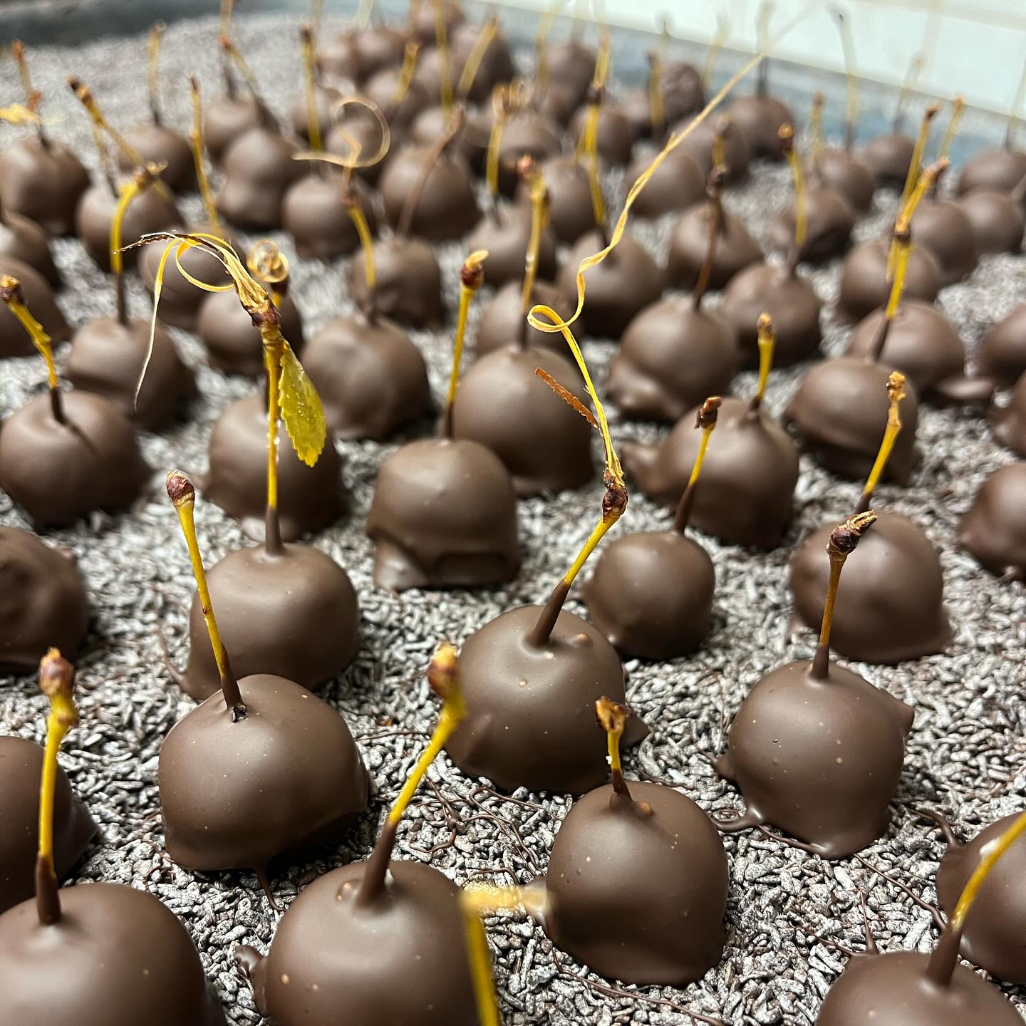 Coupon de réduction : 1 Boîte Achetée = 1 Boite Offerte * - Valable à LA CHOCOLATERIE MARCELLIN - à LEVENS (06)