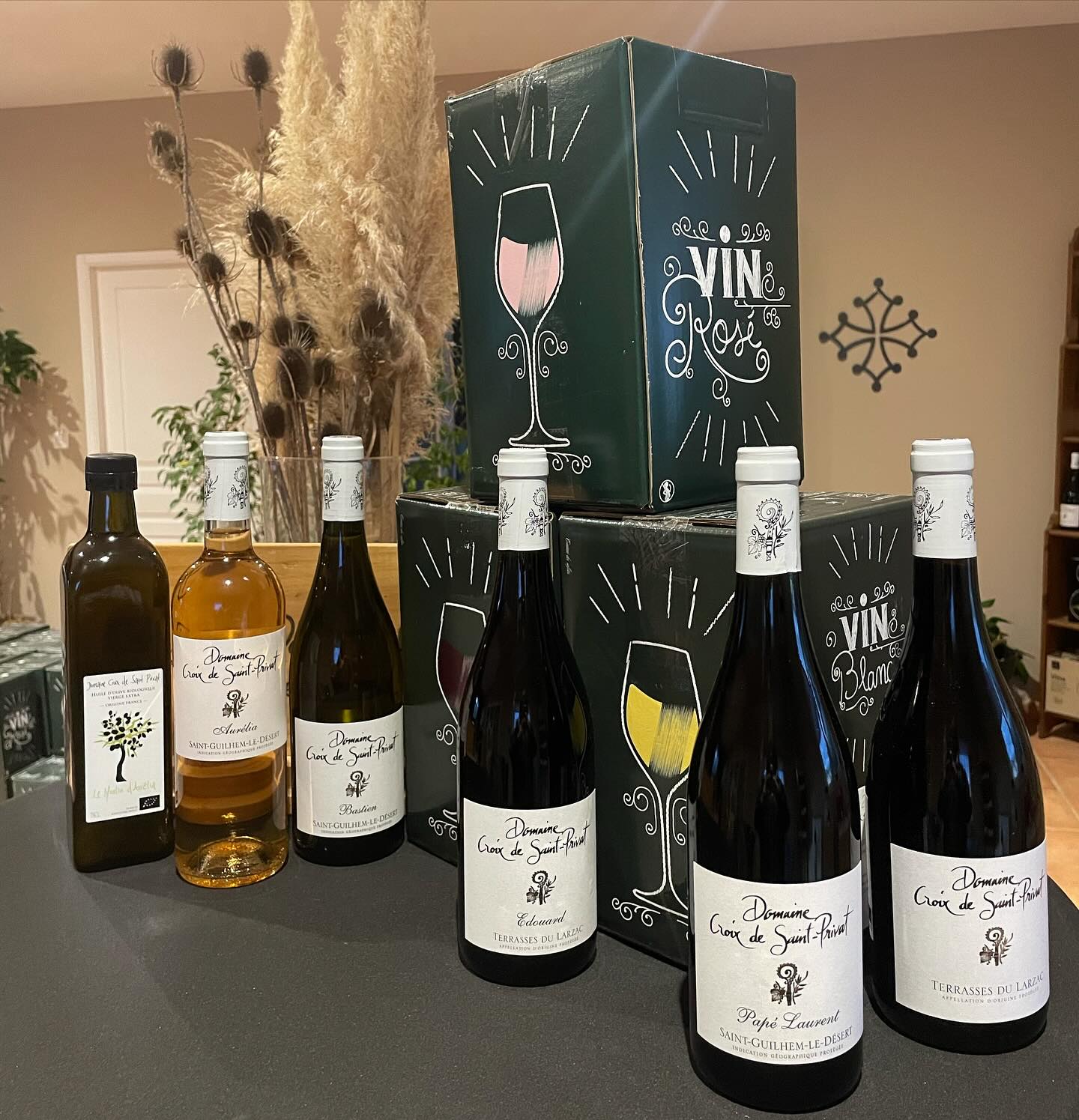 Coupon de réduction : Remise de 10% pour tout achat de 12 BOUTEILLES (panachées) * - Valable au DOMAINE DE LA CROIX SAINT PRIVAT - à ANIANE (34)