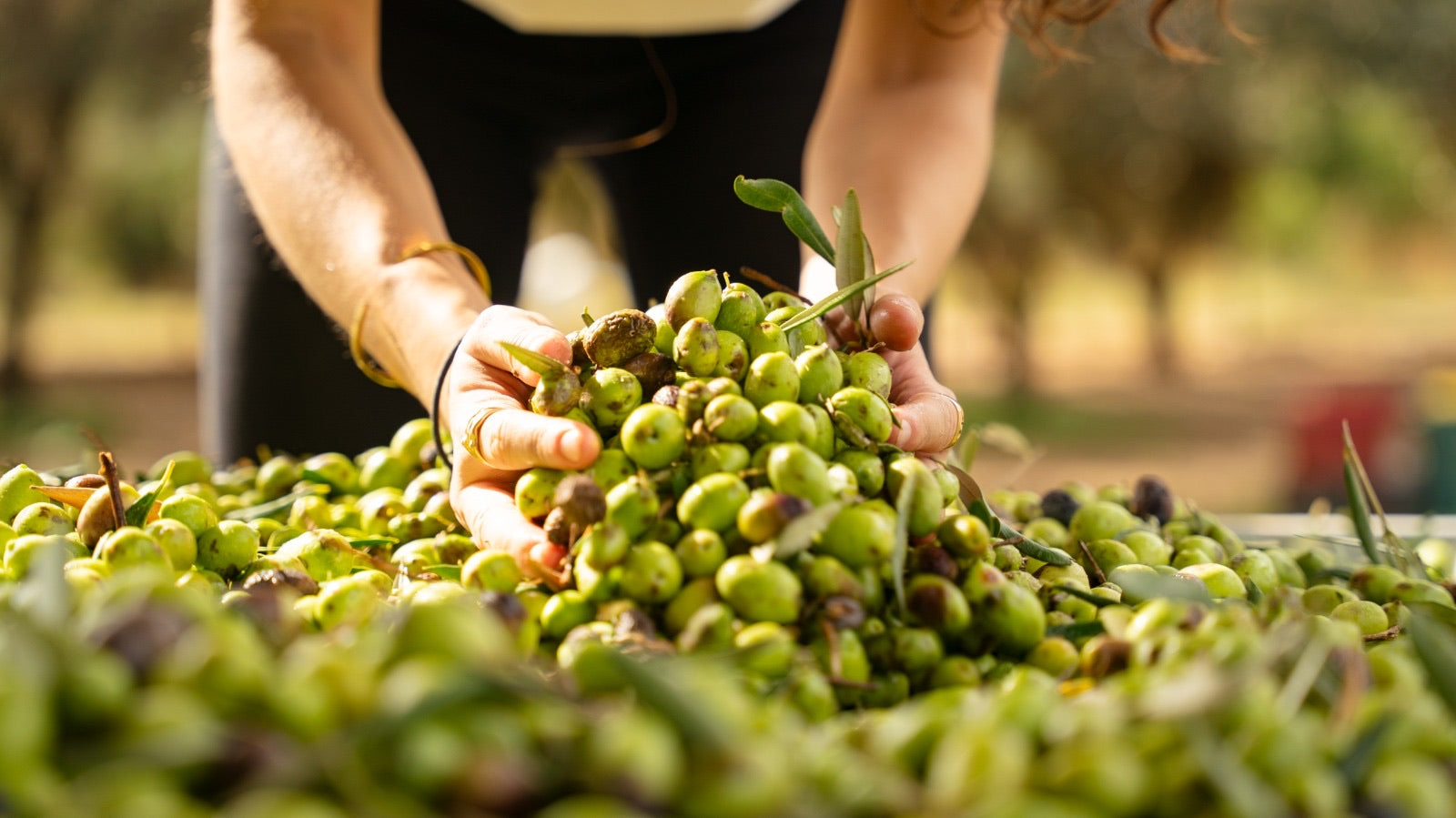 Coupon de réduction : 20% de remise sur le site internet Avec le code : GuidePrestige20 - Valable chez LUCANGELI - à SAINT-LAURENT-DU-VAR (06)