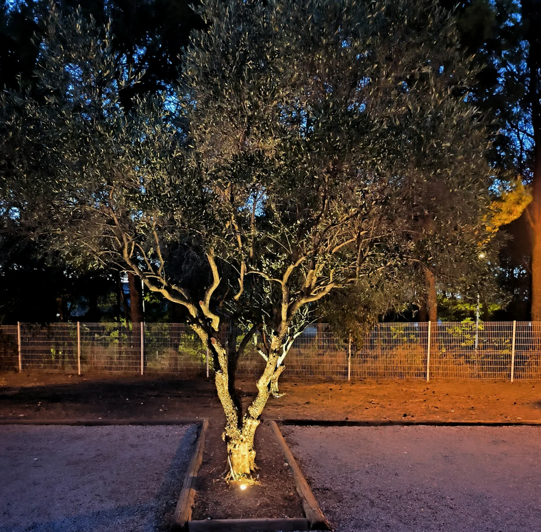 Coupon de réduction : À la Carte Remise de 25 €* - Valable le soir chez LES JARDINS DE LA CASTELLE - à MONTPELLIER (34)