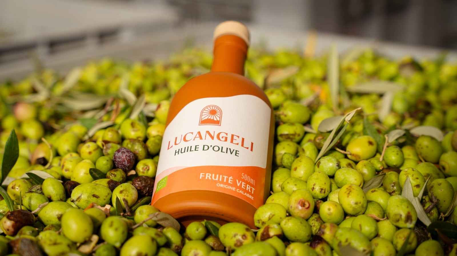 Coupon de réduction : 20% de remise sur le site internet Avec le code : GuidePrestige20 - Valable chez LUCANGELI - à SAINT-LAURENT-DU-VAR (06)