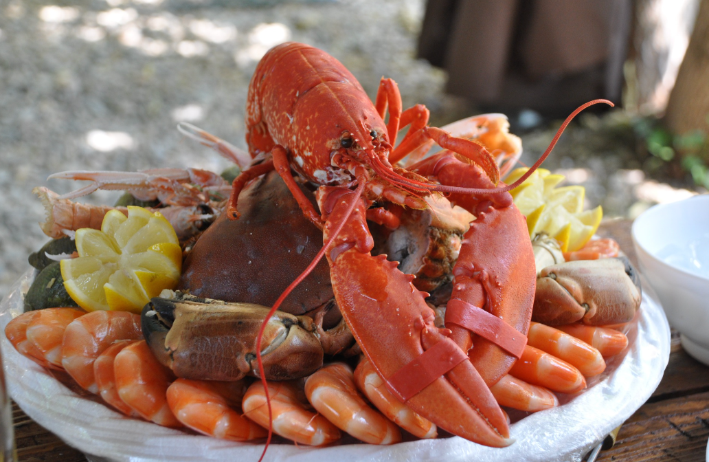 Coupon de réduction : Plateau de Fruits de Mer La Baleine à -25% - Valable à LA CABANE AUX COQUILLAGES - à CARNON (34)