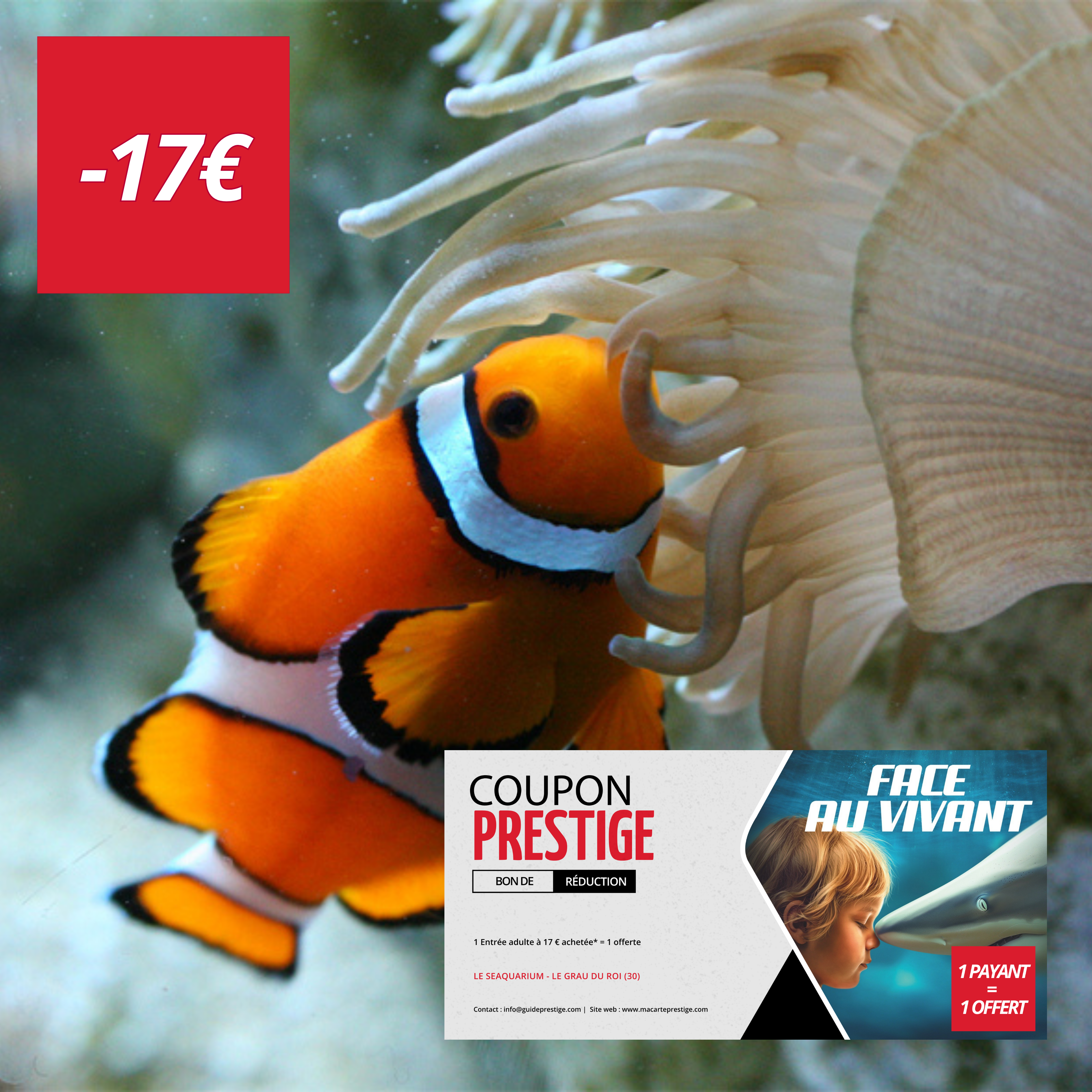 Coupon de réduction : 1 Entrée adulte à 17 € achetée* = 1 offerte - Valable chez LE SEAQUARIUM - à LE GRAU DU ROI (30)