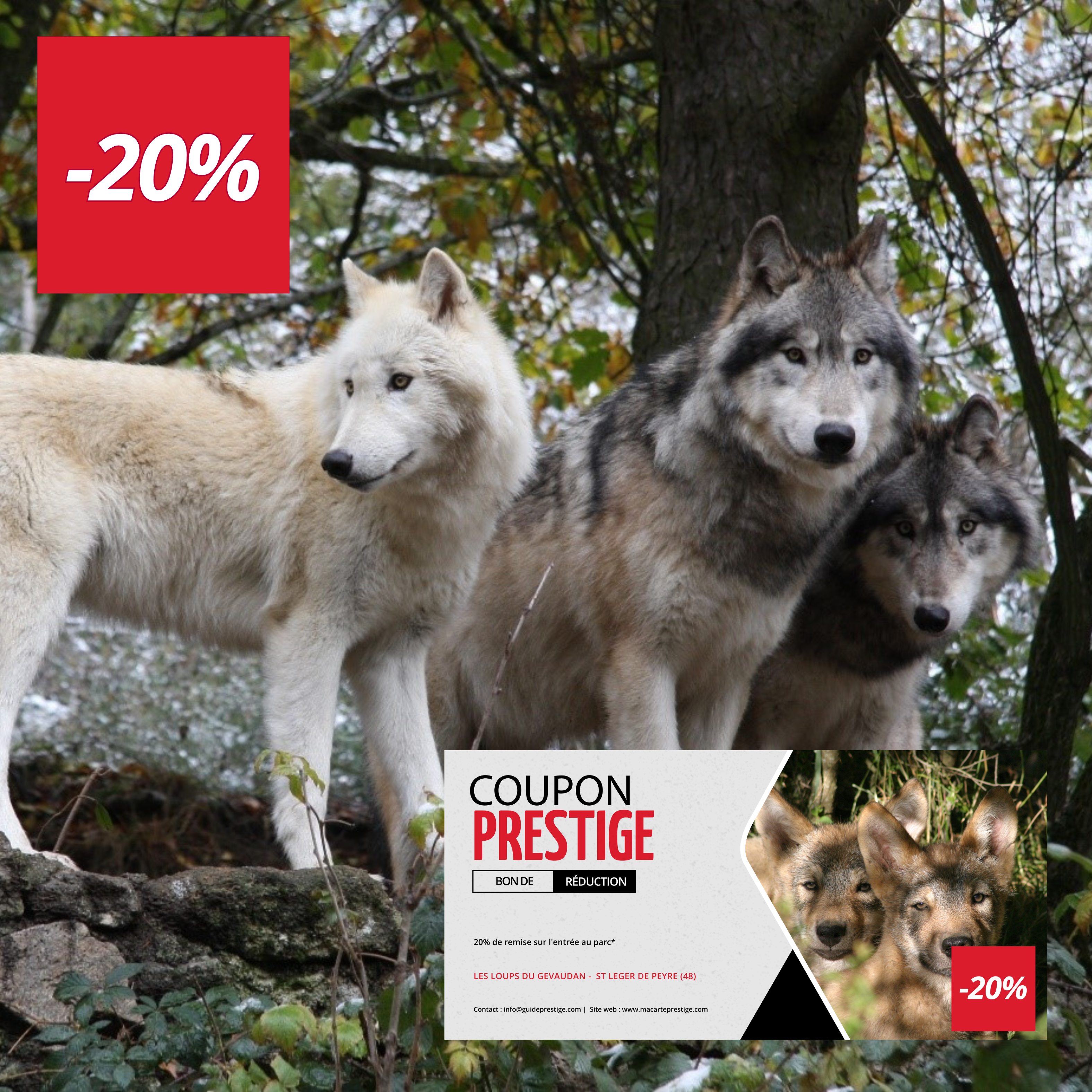 Coupon de réduction : 20% de remise sur l'entrée au parc* - Valable chez LES LOUPS DU GEVAUDAN - à ST LEGER DE PEYRE (48)