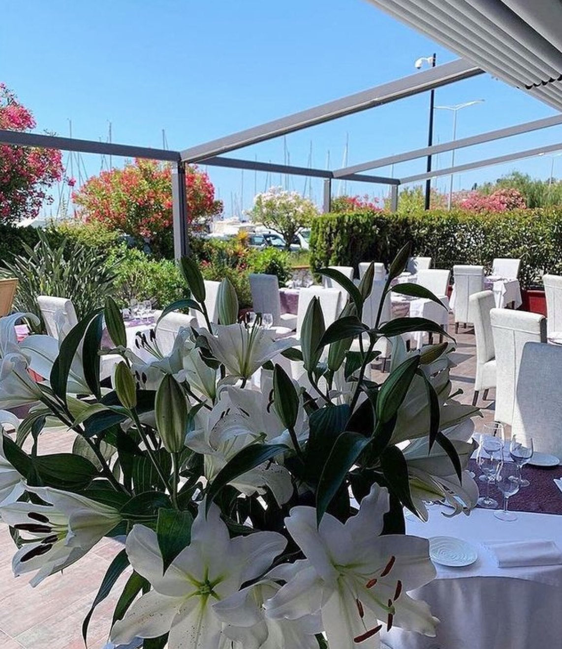 Coupon de réduction : À la carte Remise de 20 euros * - Valable chez LE GALION - à MENTON (06)