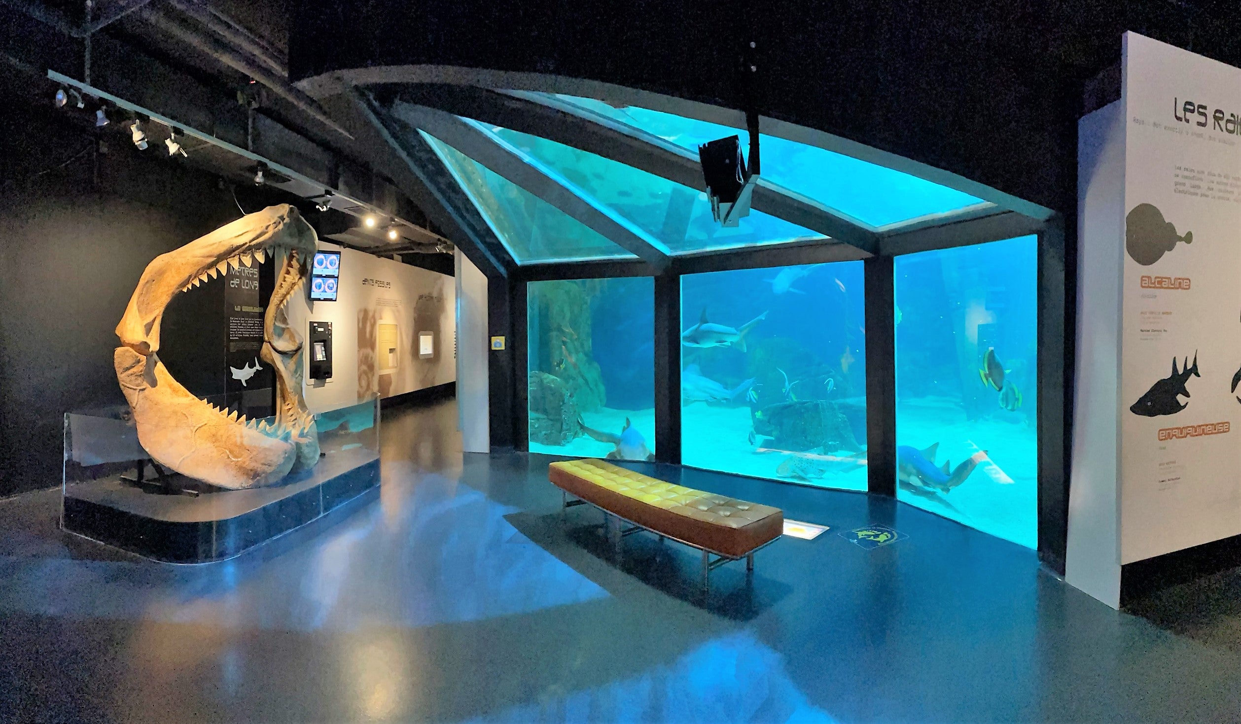 Coupon de réduction : 1 Entrée adulte à 17 € achetée* = 1 offerte - Valable chez LE SEAQUARIUM - à LE GRAU DU ROI (30)