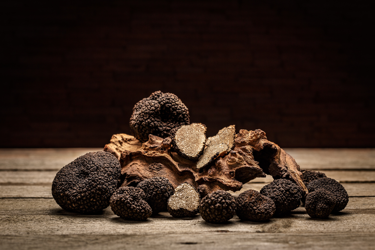 Coupon de réduction : Une coupe de champagne avec pétale de truffe offerte pour chaque menu prestige acheté * (Valeur 12€ par personne) - Valable chez LE GRAND CHENE TRUFFIER - à SILLANS-LA-CASCADE (83)