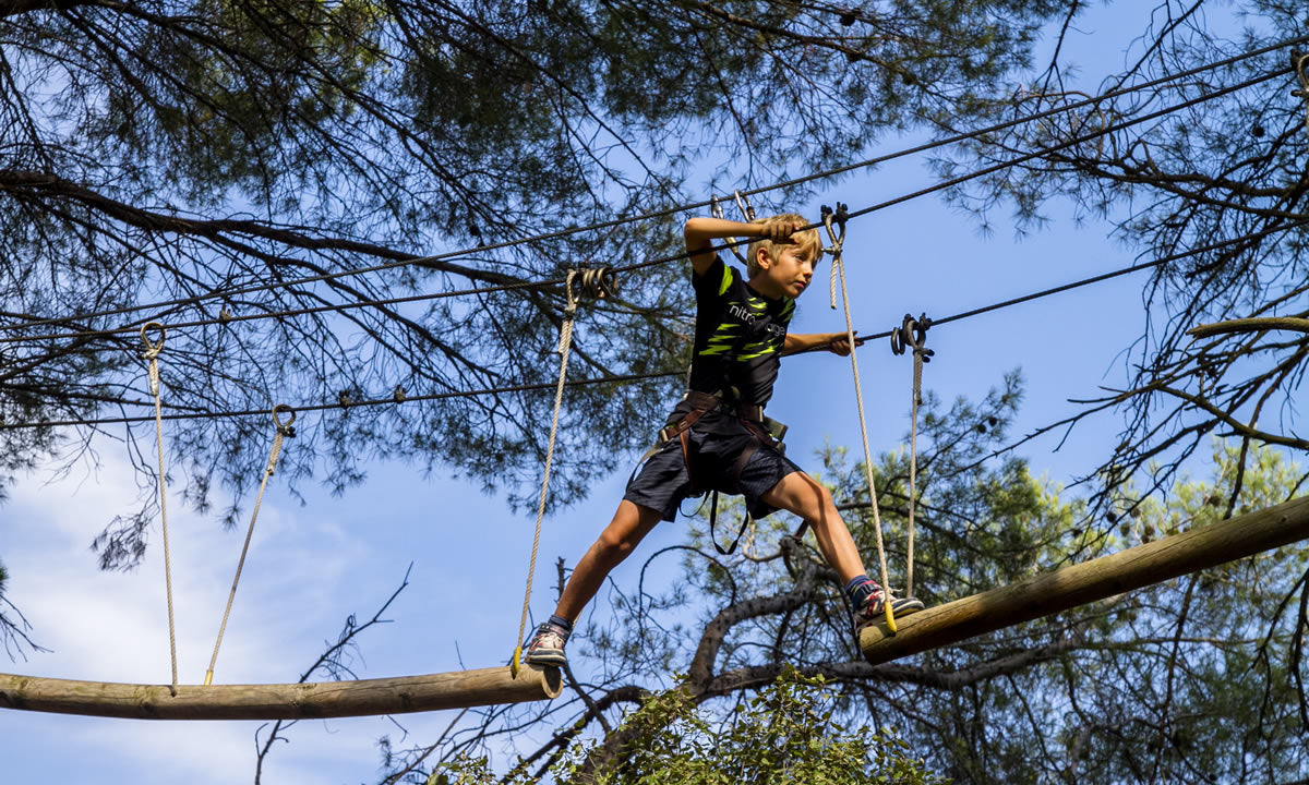 Coupon de réduction : 1 Place plein tarif achetée = 1 offerte * - Valable chez TYROLIANE - à ENTRE VIGNES (34)