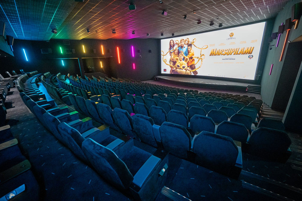Bon de réduction : 8,50 € la place * (valable pour une personne) - Valable au CINEMA CGR LATTES - à LATTES (34)